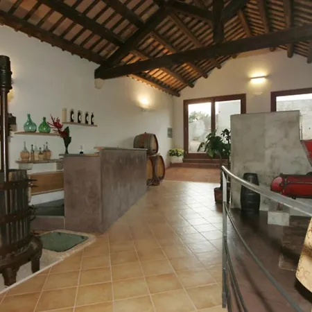 Azienda Agrituristica Tenuta Pizzolungo Villa Erice Exterior photo